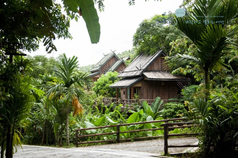 IMG_0192_wide1080%EB%B0%94%EB%9E%8Cmark.jpg?type=w773