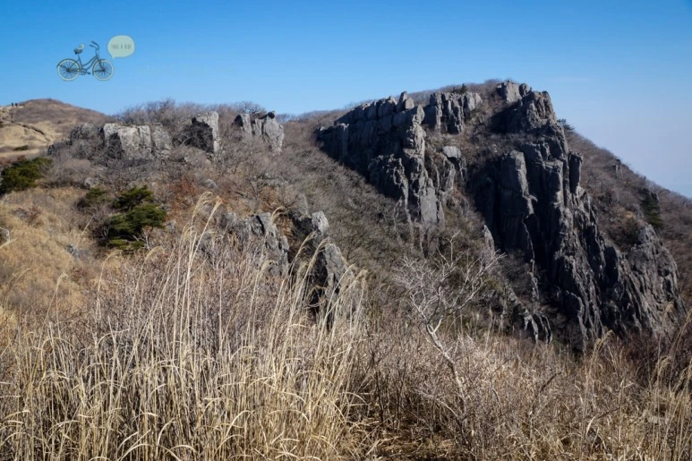 DSC04568_wide1080mark.jpg?type=w773