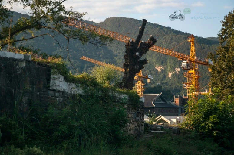 IMG_1686_Wide1080mark%EB%B0%94%EB%9E%8C.jpg?type=w773