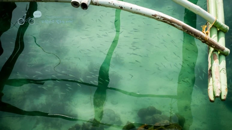 _1020053_Wide1080mark%EB%B0%94%EB%9E%8C%ED%83%80%EA%B3%A0.jpg?type=w773