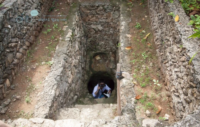 IMG_0144_Wide1080mark%EB%B0%94%EB%9E%8C%ED%83%80%EA%B3%A0-2.jpg?type=w773