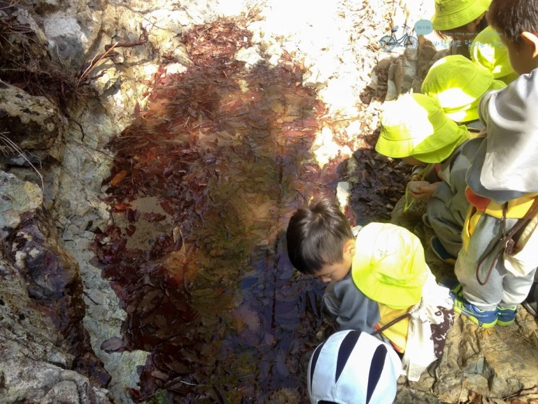 IMG_2060_Wide1080mark%EB%B0%94%EB%9E%8C.jpg?type=w773