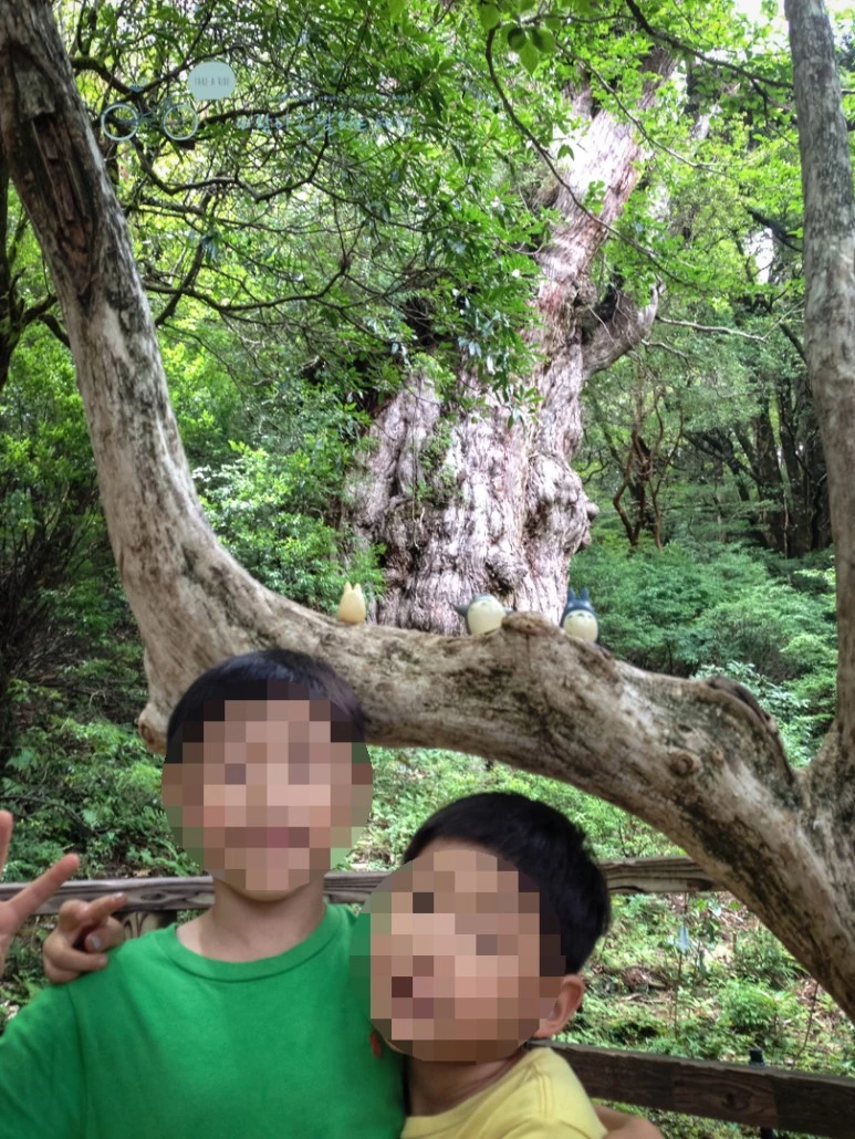 image_53345811486454045994.jpg?type=w773