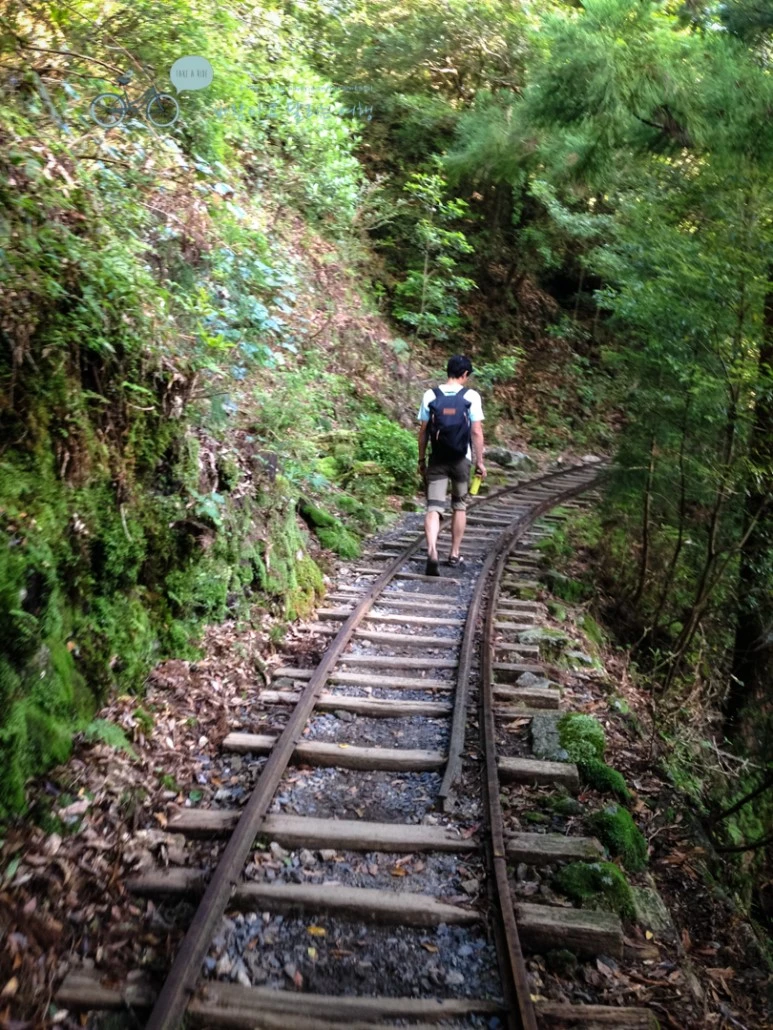 IMG_7923_wide1080mark.jpg?type=w773