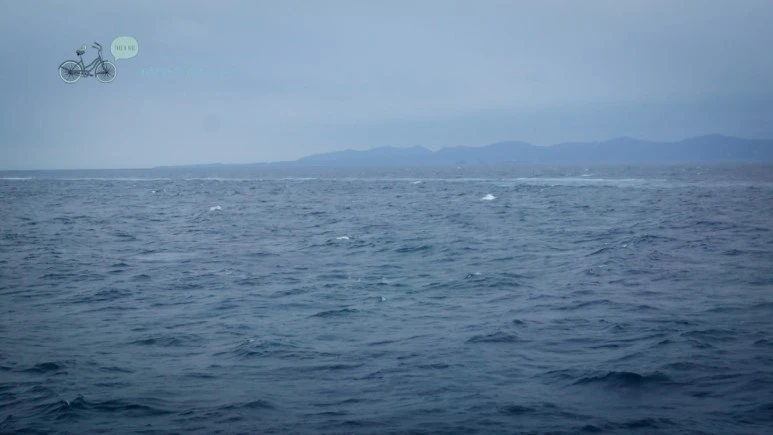 DSC01551_wide1080mark.jpg?type=w773