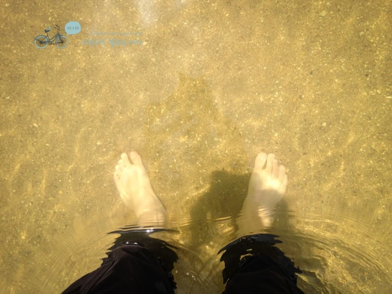 IMG_0523_Wide1080mark.jpg?type=w773