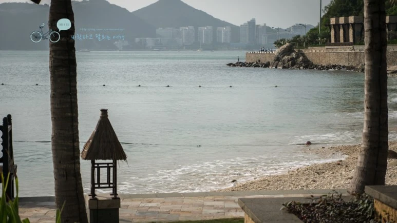 _1050543_wide1080mark.jpg?type=w773