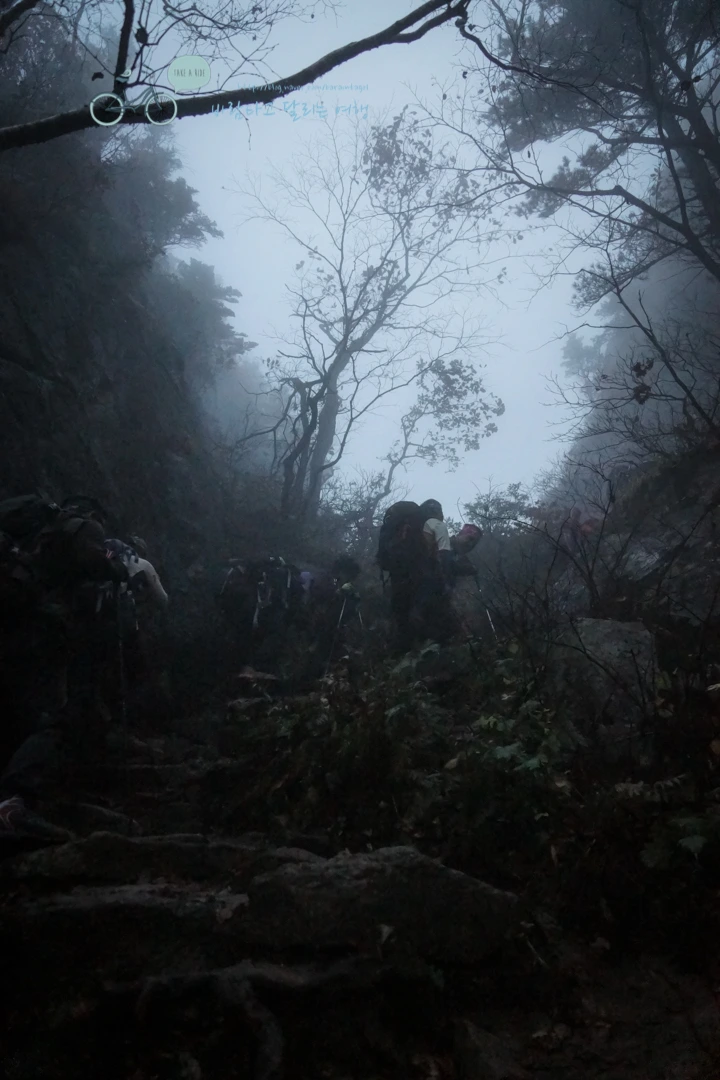 DSC05247_wide1080mark.jpg?type=w773