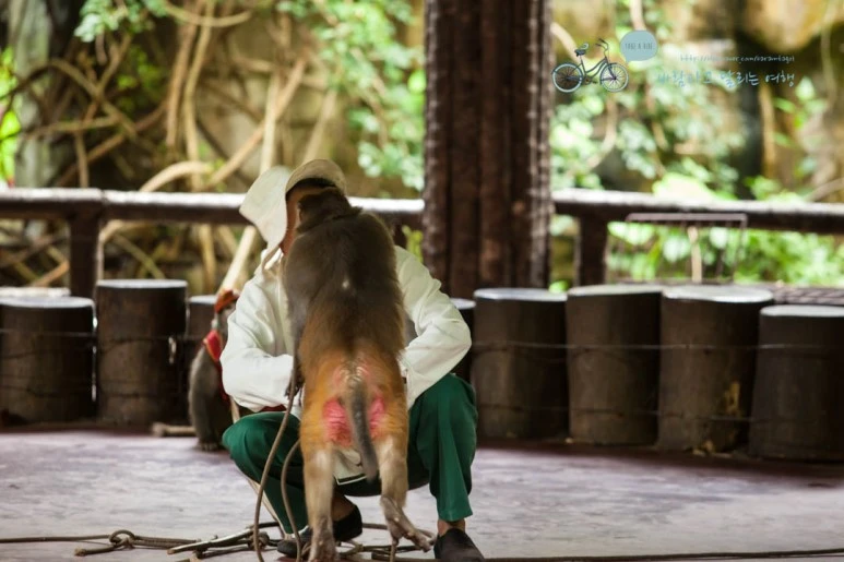 IMG_1455_wide1080%EB%B0%94%EB%9E%8Cmark.jpg?type=w773