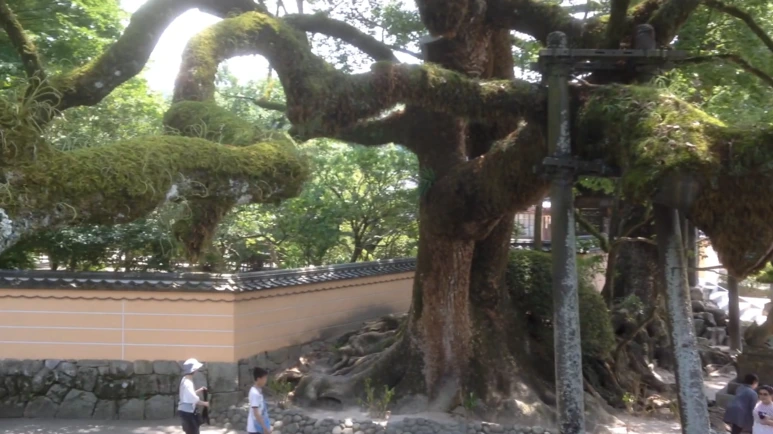 %EC%8A%A4%ED%81%AC%EB%A6%B0%EC%83%B7_2017-02-02_17.29.31.png?type=w773