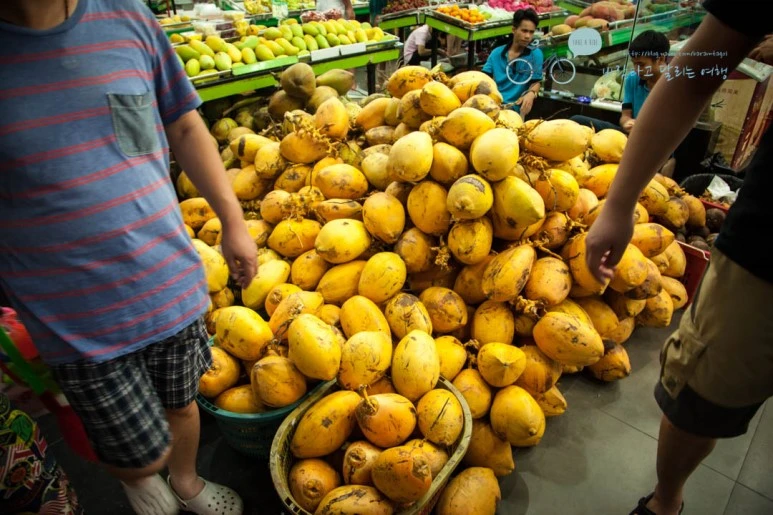 IMG_0943_wide1080%EB%B0%94%EB%9E%8Cmark.jpg?type=w773