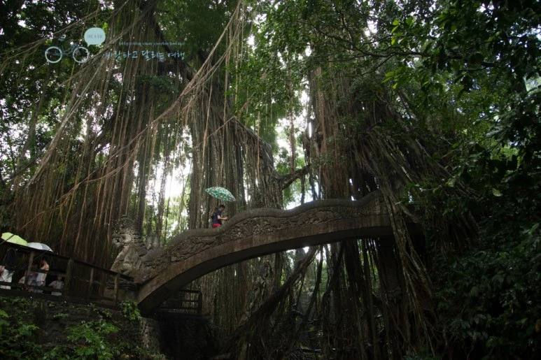 IMG_0242_Wide1080mark%EB%B0%94%EB%9E%8C%ED%83%80%EA%B3%A0-2.jpg?type=w773