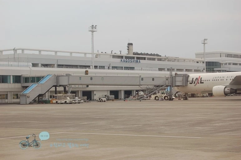 006%B0%A1%B0%ED%BD%C3%B8%B6%B0%F8%C7%D7.jpg?type=w773