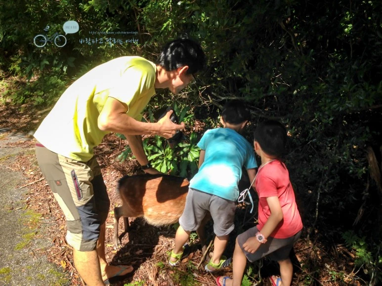 IMG_8043_wide1080mark.jpg?type=w773