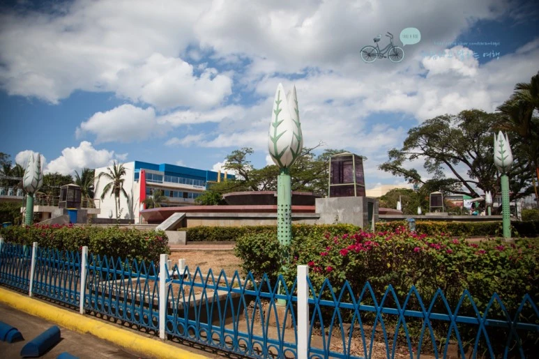 IMG_1926_Wide1080mark%EB%B0%94%EB%9E%8C%ED%83%80%EA%B3%A0.jpg?type=w773