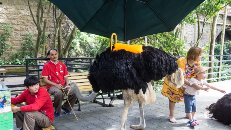 DSC05770_wide1080mark%EB%B0%94%EB%9E%8C.jpg?type=w773