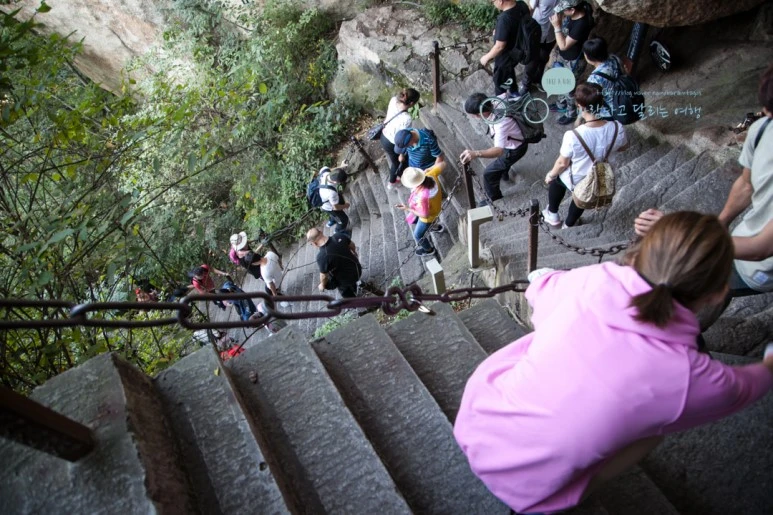 IMG_0362_Wide1080_mark%EB%B0%94%EB%9E%8C.jpg?type=w773