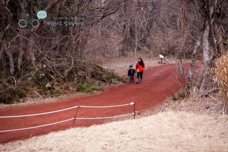 DSC00444.jpg?type=w773