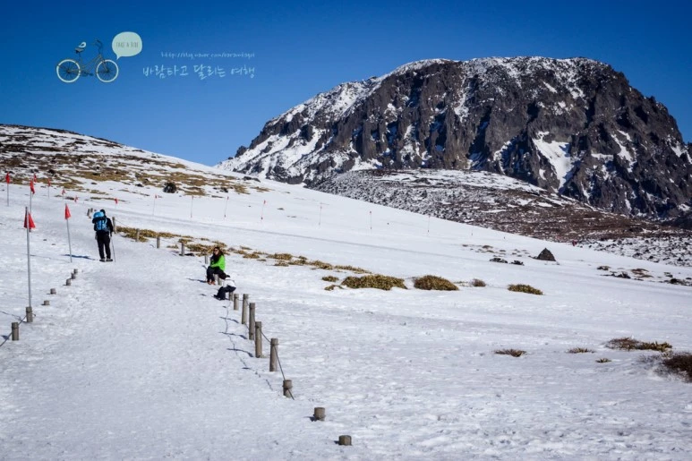 DSC00142_3.jpg?type=w773