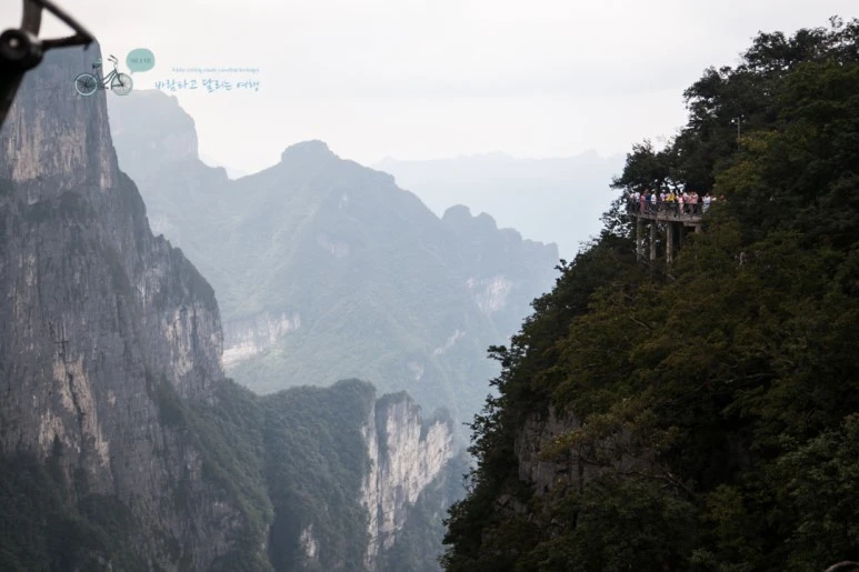 IMG_0352_Wide1080mark%EB%B0%94%EB%9E%8C.jpg?type=w773