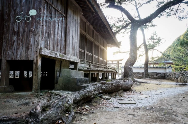 DSC07985_wide1080mark.jpg?type=w773