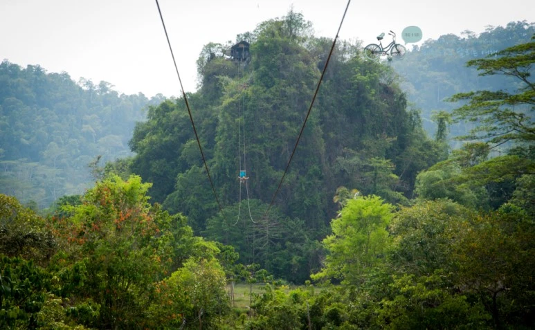 IMG_0662_Wide1080mark%EB%B0%94%EB%9E%8C%ED%83%80%EA%B3%A0.jpg?type=w773