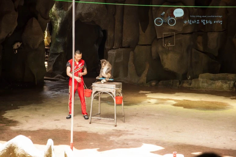 IMG_1347_wide1080%EB%B0%94%EB%9E%8Cmark.jpg?type=w773