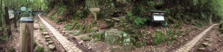 IMG_1284_wide1080.jpg?type=w773