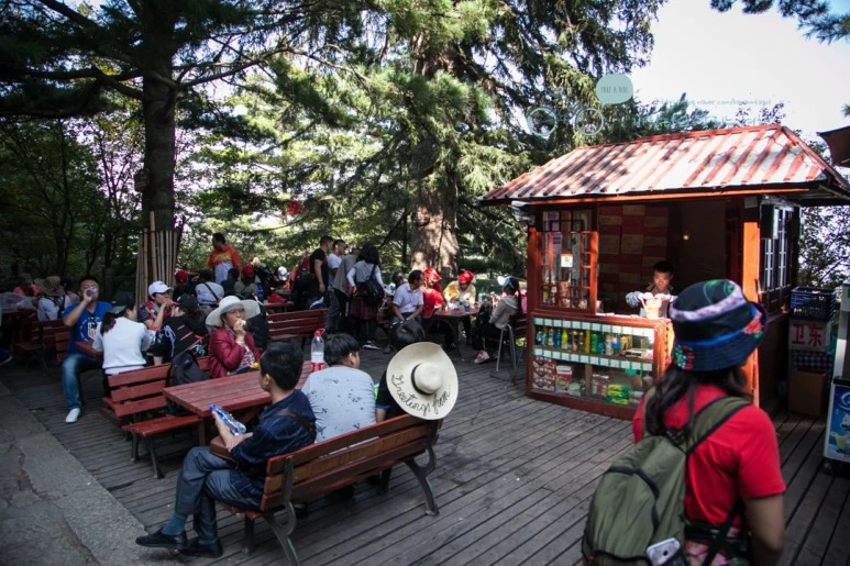 IMG_0260_Wide1080_mark%EB%B0%94%EB%9E%8C.jpg?type=w773