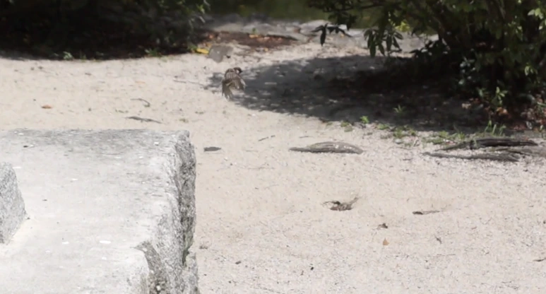 %EC%8A%A4%ED%81%AC%EB%A6%B0%EC%83%B7_2017-02-02_17.30.20.png?type=w773