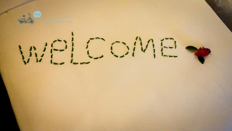 _1010351_wide1080_Wide1080mark_%EB%B0%94%EB%9E%8C.jpg?type=w773