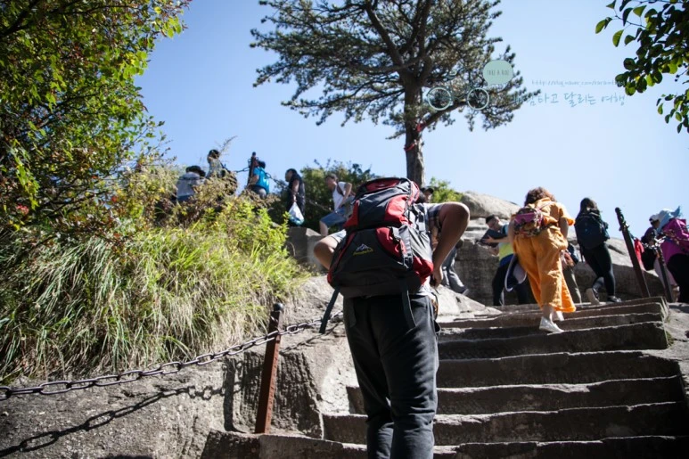 IMG_0190_Wide1080_mark%EB%B0%94%EB%9E%8C.jpg?type=w773