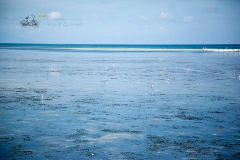 IMG_1108_Wide1080mark%EB%B0%94%EB%9E%8C%ED%83%80%EA%B3%A0.jpg?type=w773