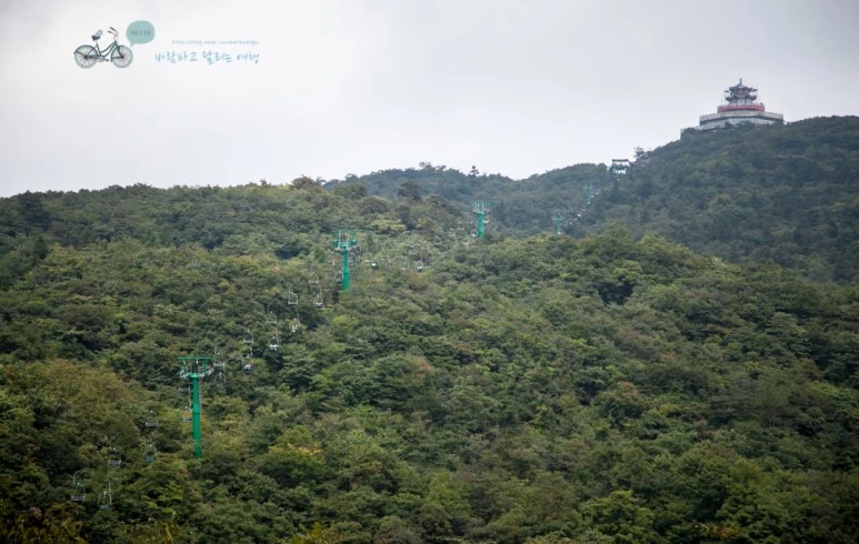 image_9196119011525245540999.jpg?type=w773