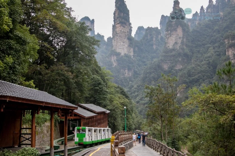 IMG_1097_Wide1080mark%EB%B0%94%EB%9E%8C.jpg?type=w773