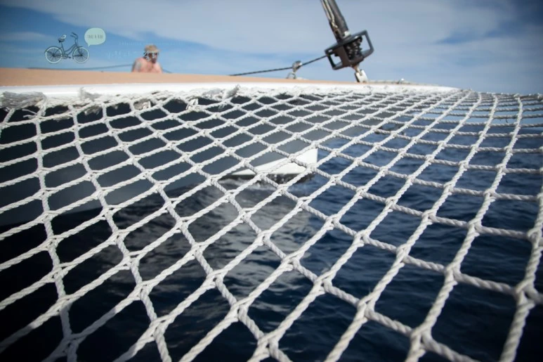 IMG_0159_Wide1080mark%EB%B0%94%EB%9E%8C%ED%83%80%EA%B3%A0-2.jpg?type=w773