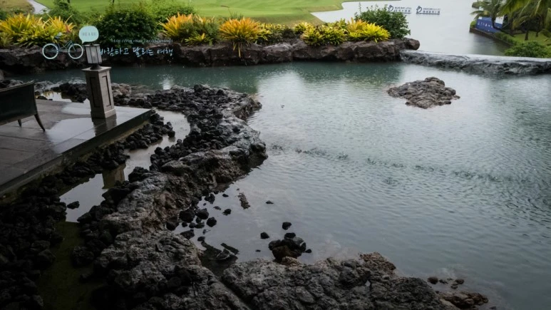 _1000168_wide1080_Wide1080mark_%EB%B0%94%EB%9E%8C.jpg?type=w773