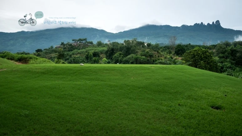 _1010105_wide1080_Wide1080mark_%EB%B0%94%EB%9E%8C.jpg?type=w773