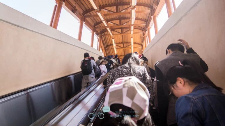 DSC04910_wide1080mark%EB%B0%94%EB%9E%8C.jpg?type=w773