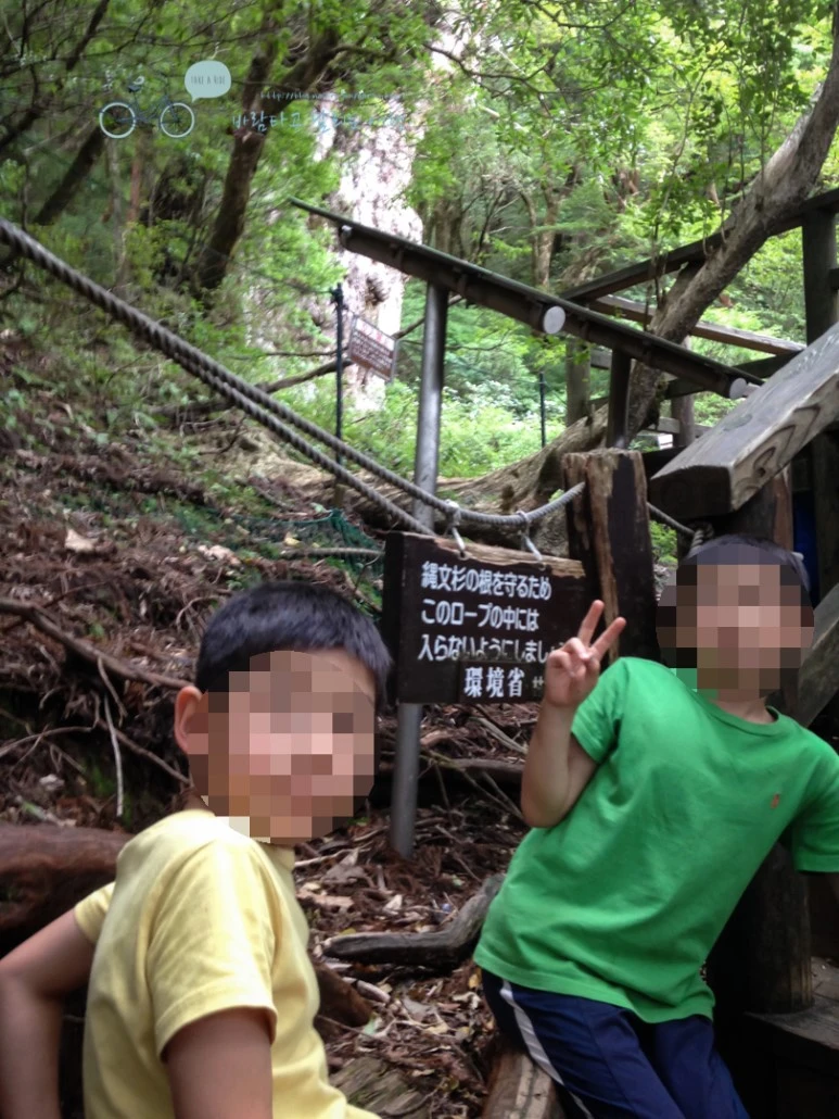 image_783614671486451450060.jpg?type=w773