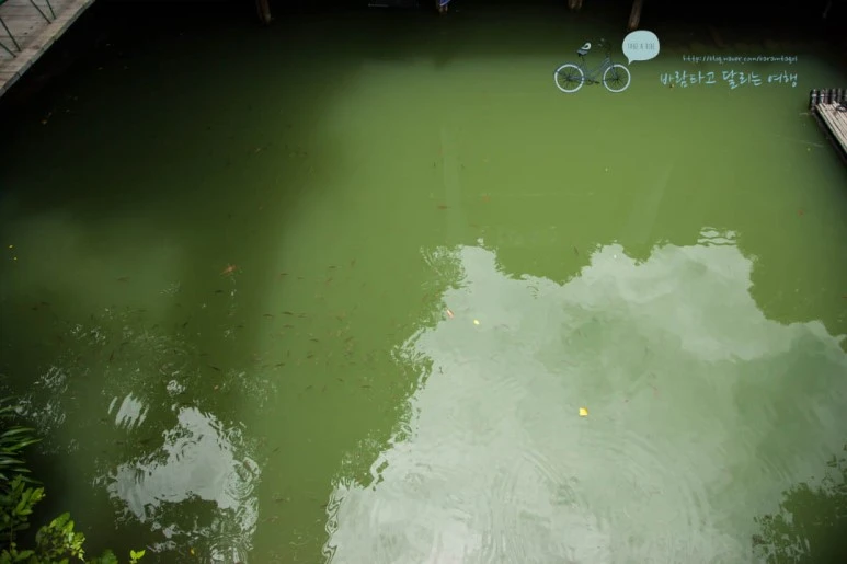 IMG_0339_wide1080%EB%B0%94%EB%9E%8Cmark.jpg?type=w773