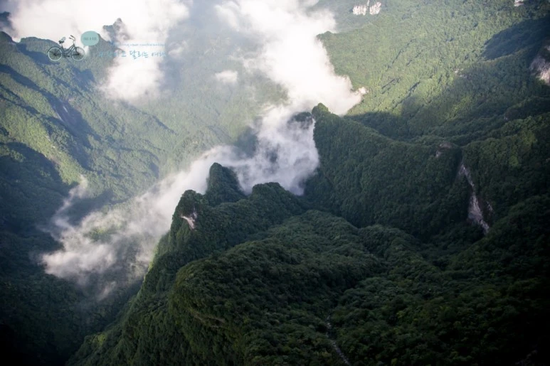 IMG_0132_Wide1080mark%EB%B0%94%EB%9E%8C.jpg?type=w773