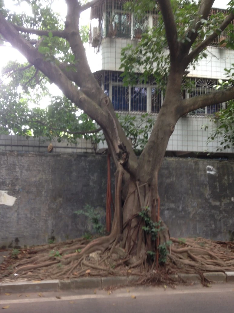 IMG_2682.JPG?type=w773