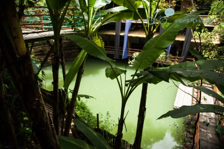 IMG_0337_wide1080%EB%B0%94%EB%9E%8Cmark.jpg?type=w773