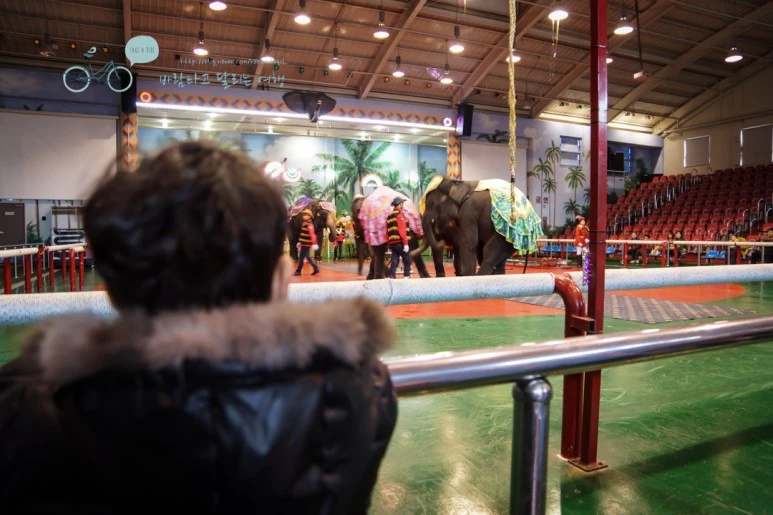 DSC00161_5.jpg?type=w773