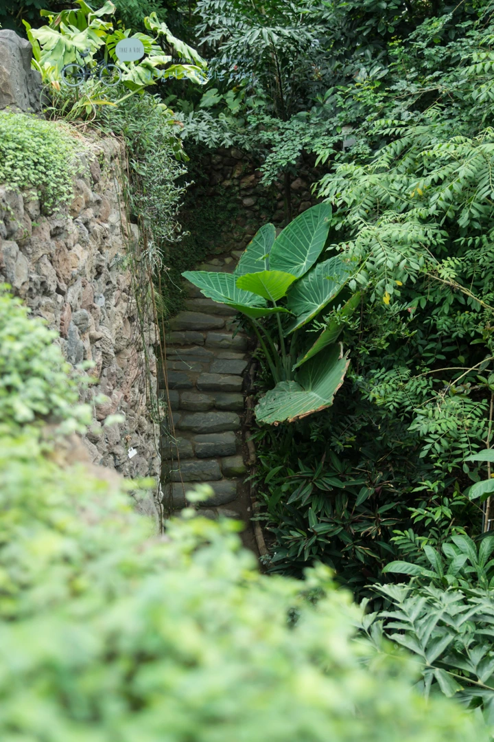 DSC03834_Wide1080.jpg?type=w773