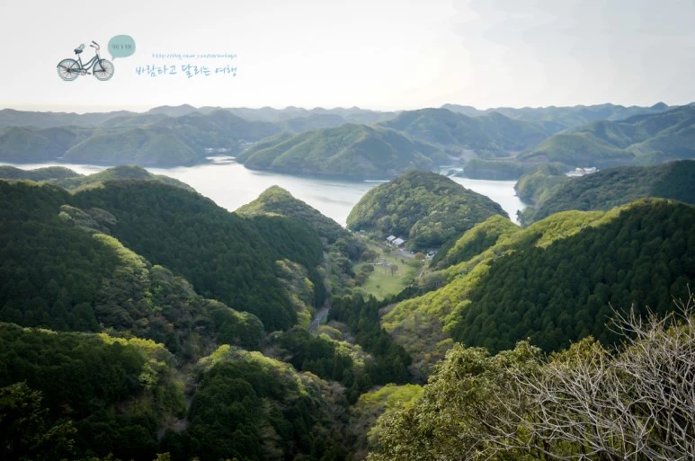 DSC07971_wide1080mark.jpg?type=w773