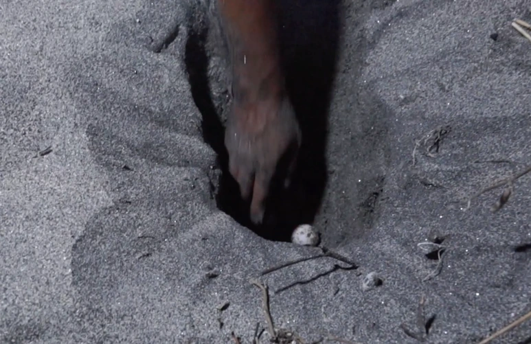 %EC%8A%A4%ED%81%AC%EB%A6%B0%EC%83%B7_2017-02-03_11.26.54.png?type=w773