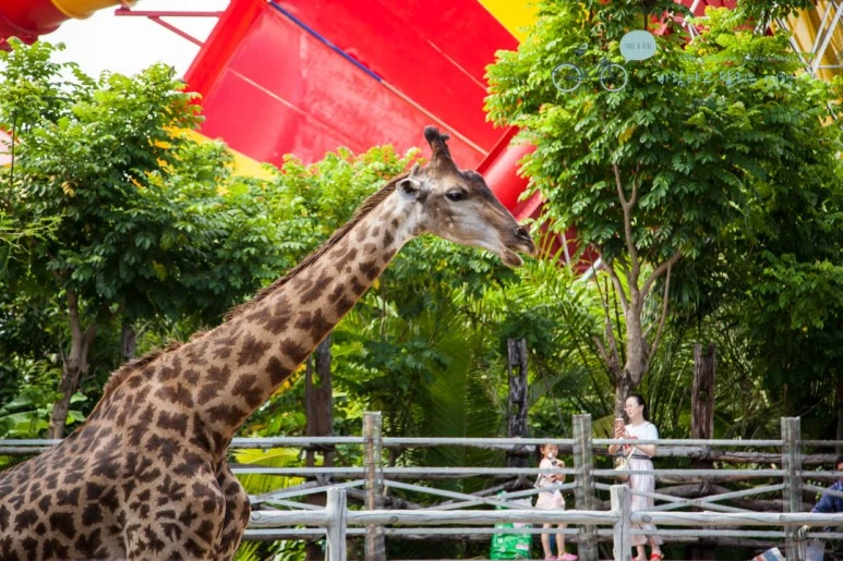 IMG_0768_wide1080%EB%B0%94%EB%9E%8Cmark.jpg?type=w773