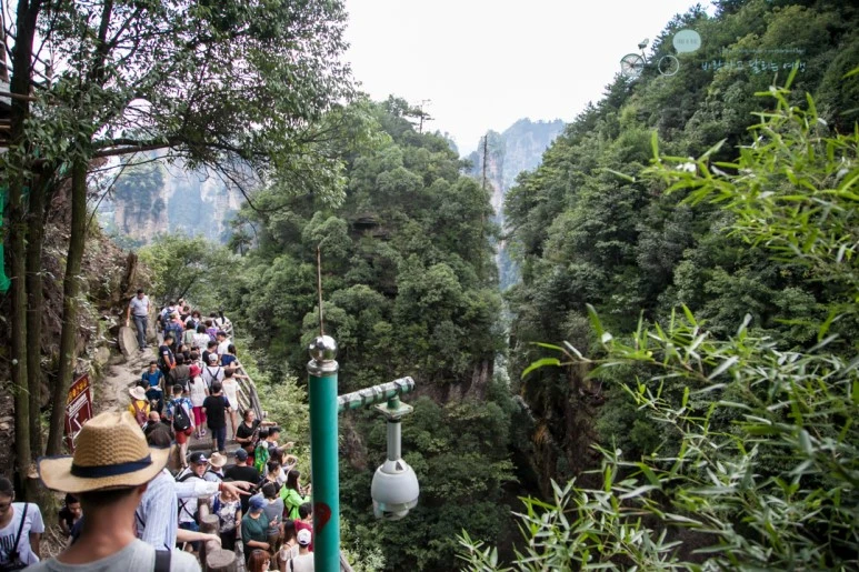 IMG_1259_Wide1080mark%EB%B0%94%EB%9E%8C.jpg?type=w773